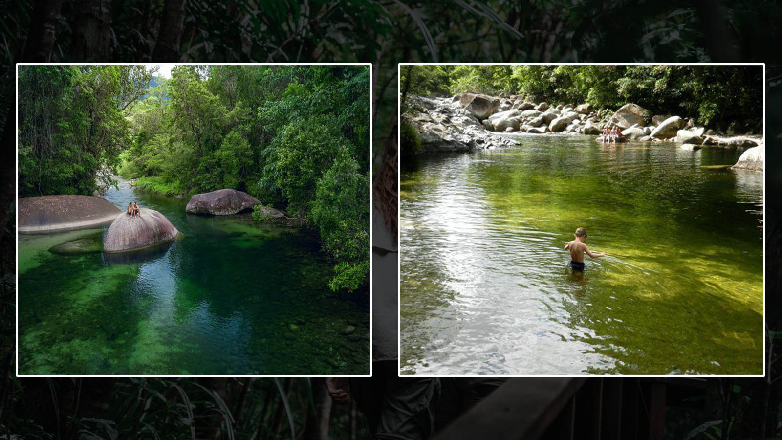 Can You Swim at Mossman Gorge Tour? Explore & Enjoy